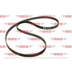 POLY V-BELT (RIBBED BELT)-FABIA 2008-2013 PTL