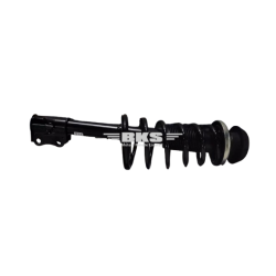 STRUT SET RH (SWIFT PETROL HB NB)-SWIFT 2005-2013