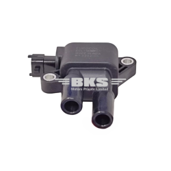 IGNITION COIL-NANO 2009-2018