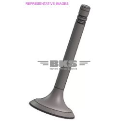 VALVE, EXHAUST-FORTUNER 2ND GEN 2021-NOW/INNOVA CRYSTA 3RD GEN 2016-NOW