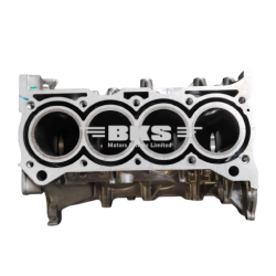 BLOCK ASSY, CYLINDER-EECO 2010-2023/SUPER CARRY 2016-2024
