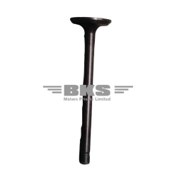VALVE, EXHAUST-EECO 2010-2022/SUPER CARRY 2016-2023